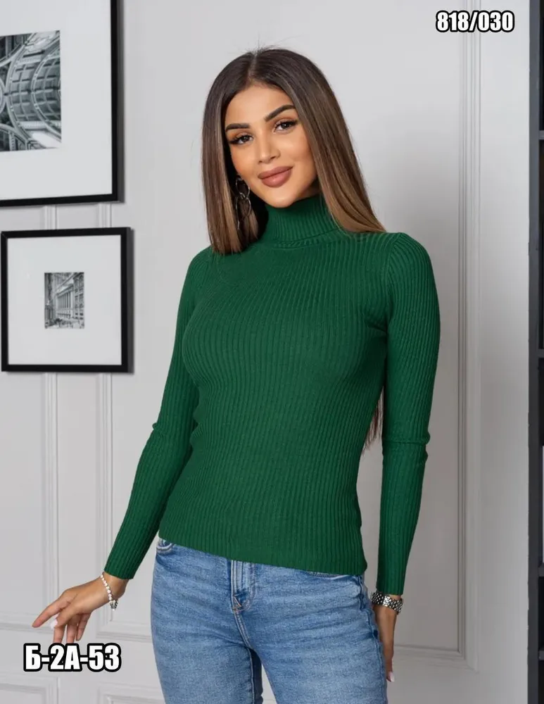 Водолазка 2574499 Fabrika