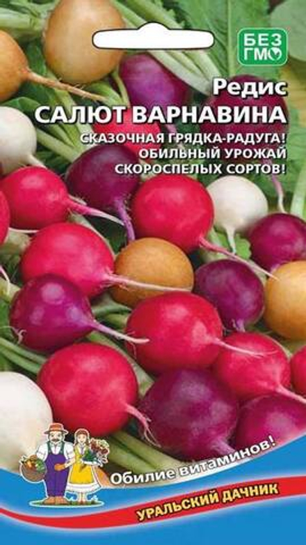 Редис "G. Салют Варнавина" 2г., Россия.
