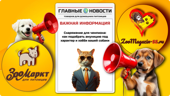 Снаряжение для чемпиона: как подобрать амуницию под характер и хобби вашей собаки