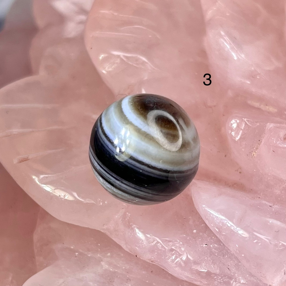 54635  Агат черный глазковый Бусина 12мм