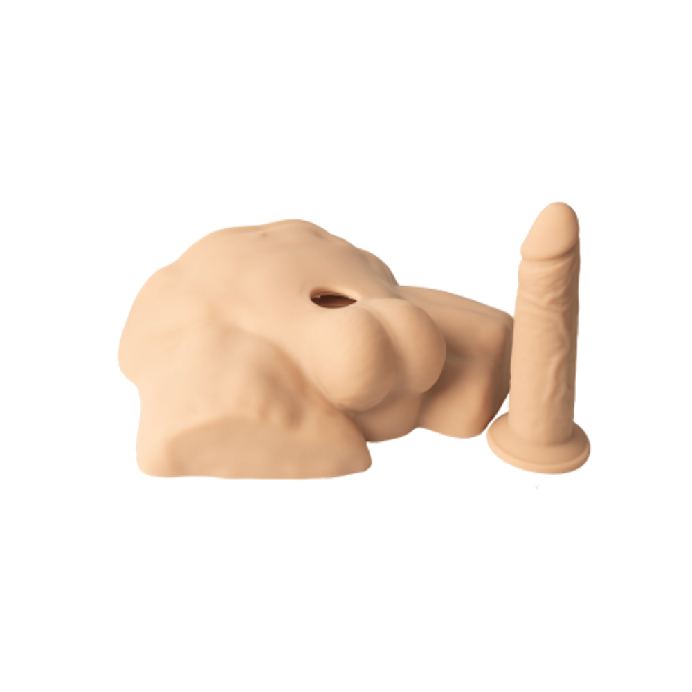 Реалистичный мужской торс Apollo (23,5×33,5×9 см)