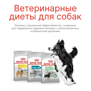 Ветеринарные диеты