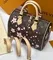 Сумка LOUIS VUITTON х TM Speedy 25, коричневый