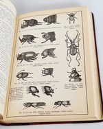 "Собрание сочинений.  В четырех томах."  Ч.Р.Дарвин. 1901 г.