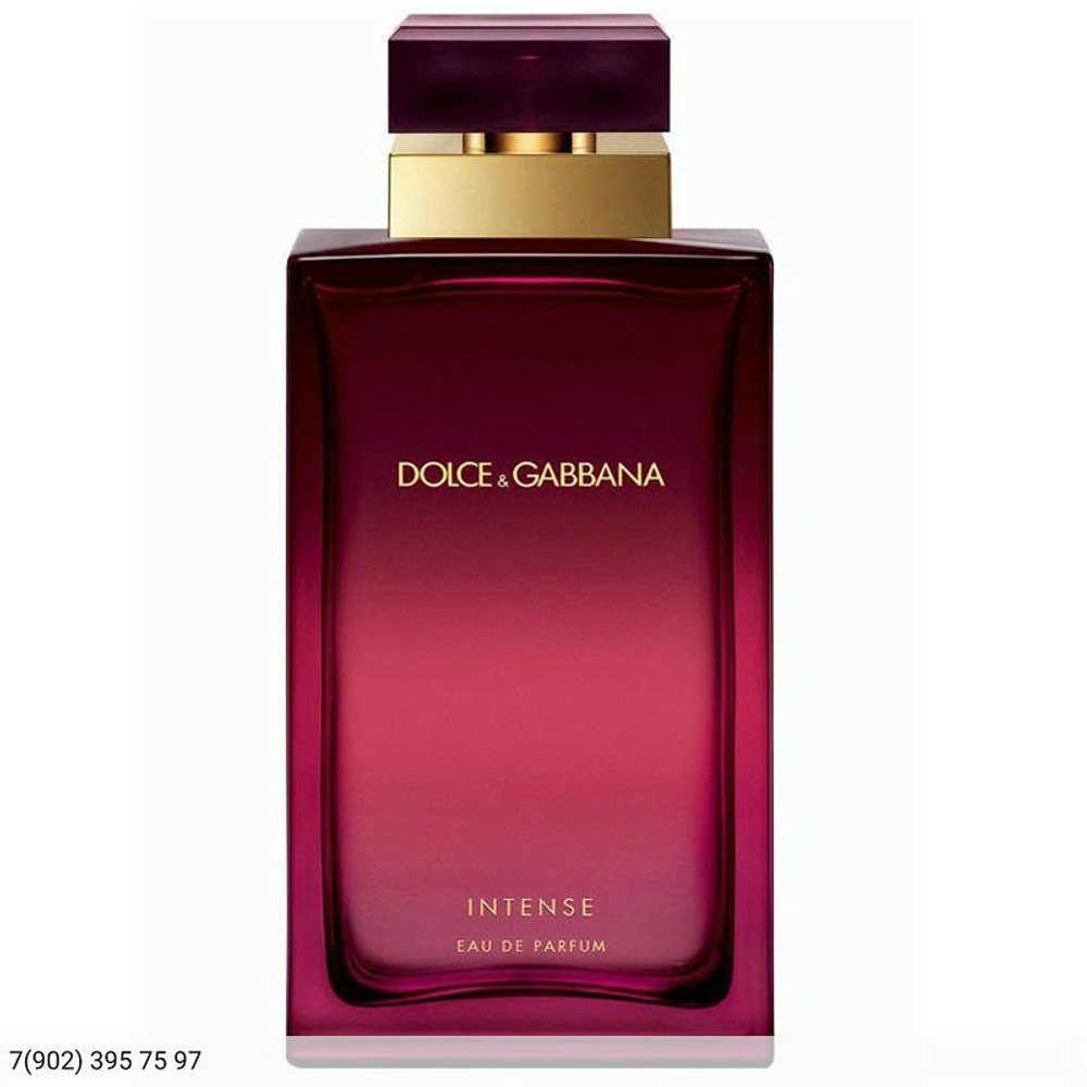 Dolce & Gabbana Intense