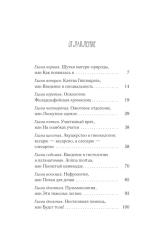 Доктор, не споткнитесь о поребрик!