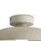 Потолочный светильник Freya FR5602CL-L10W