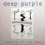 Deep Purple / Rapture Of The Deep (Coloured Vinyl) (2LP)