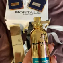 Montale Day Dreams