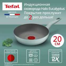 Сковорода Tefal Halo Eucalyptus 20 см G0160202