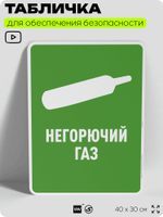 Табличка для обеспечения безопасности "Негорючий газ", для производства, предприятия, организаций, 40х30 см, Silver Plane x Айдентика Технолоджи