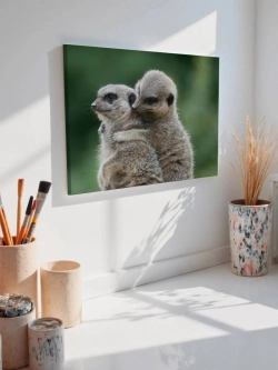 Картина на стену 40 X 50 Сурикаты
