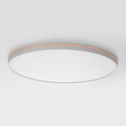 Накладной светильник Citilux NORMA CL749500