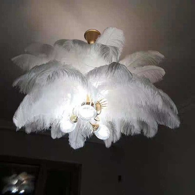 люстра The Feather