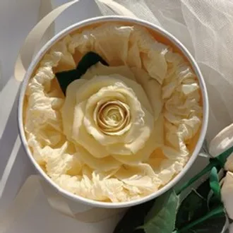 Шоколадная роза бежевая / 16 см