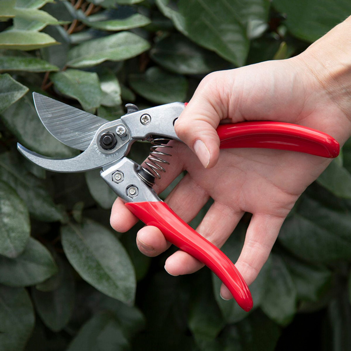 секатор ARS VS-8XZ — красный — ARS Corporation