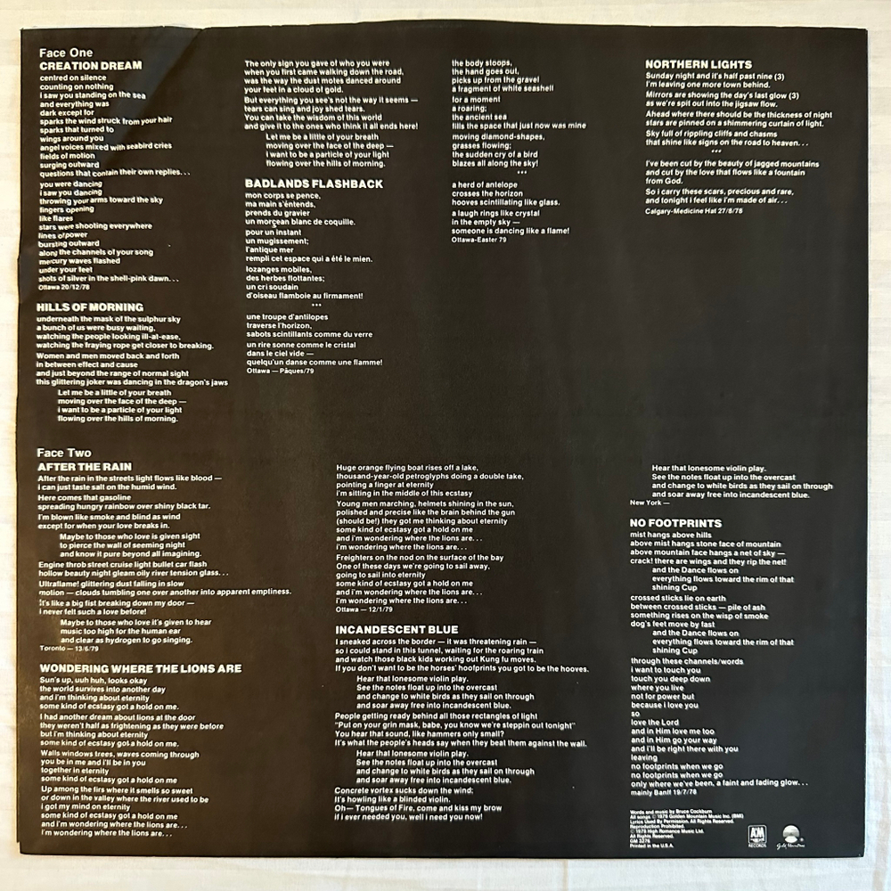 Bruce Cockburn ‎– Dancing In The Dragon's Jaws (США)