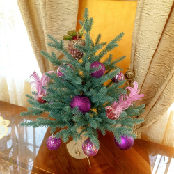 Ель искусственная Царь елка Адель голубая 60 см