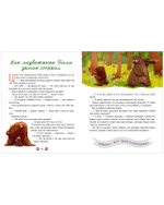 Семейные сказки. Дедушкины сказки для чтения перед сном