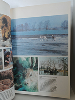 Мещерская сторона. Фотографии Вадима Гиппенрейтера