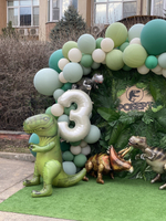 Dino Party