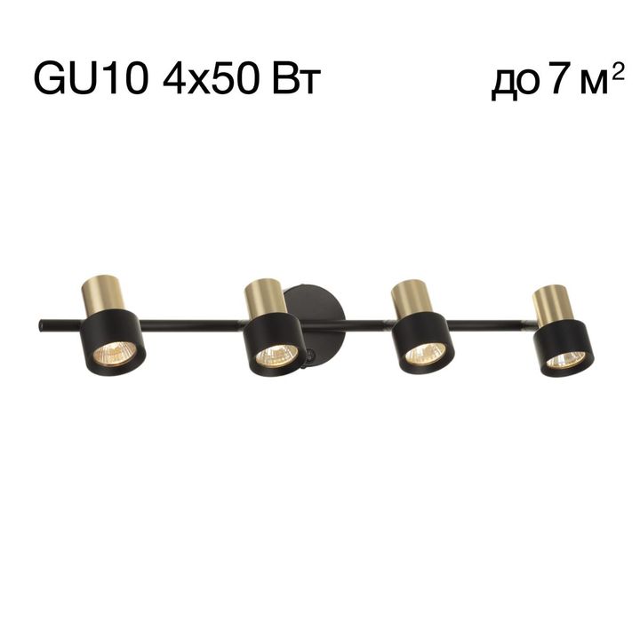 Спот поворотный Citilux SAT CL505641