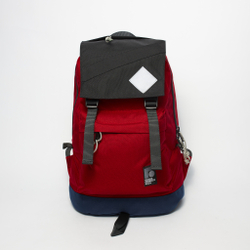 Рюкзак Citypack Color Block красный