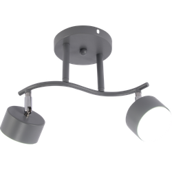 Светильник настенно-потолочный спот Rivoli Vivien 7077-702 2хGX53 15 Вт поворотный | Споты-Подсветки