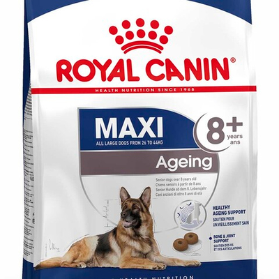 Royal Canin Maxi Ageing 8+ - корм для пожилых собак крупных пород от 8 лет