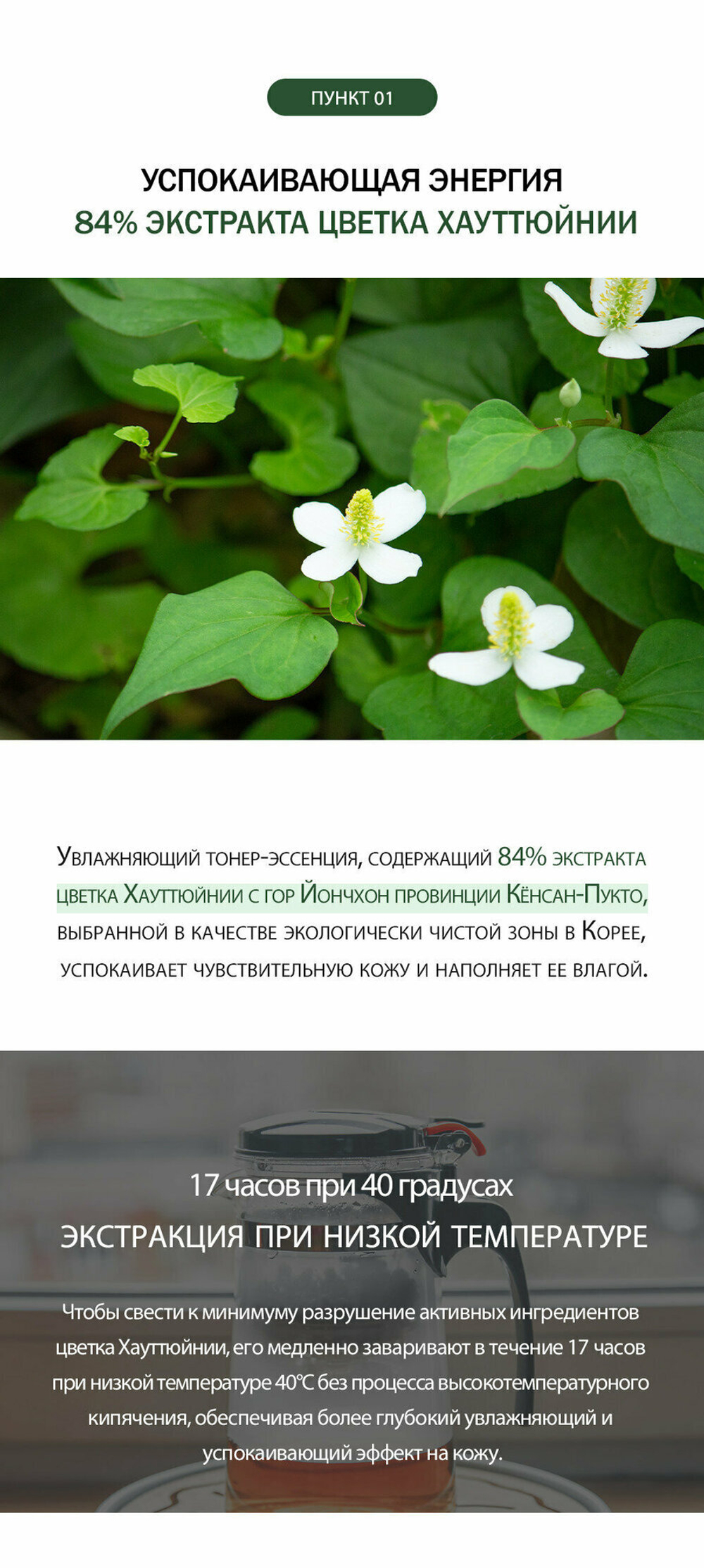 Увлажняющий тонер DERMA FACTORY для лица с экстрактом хауттюйнии, 300 мл.