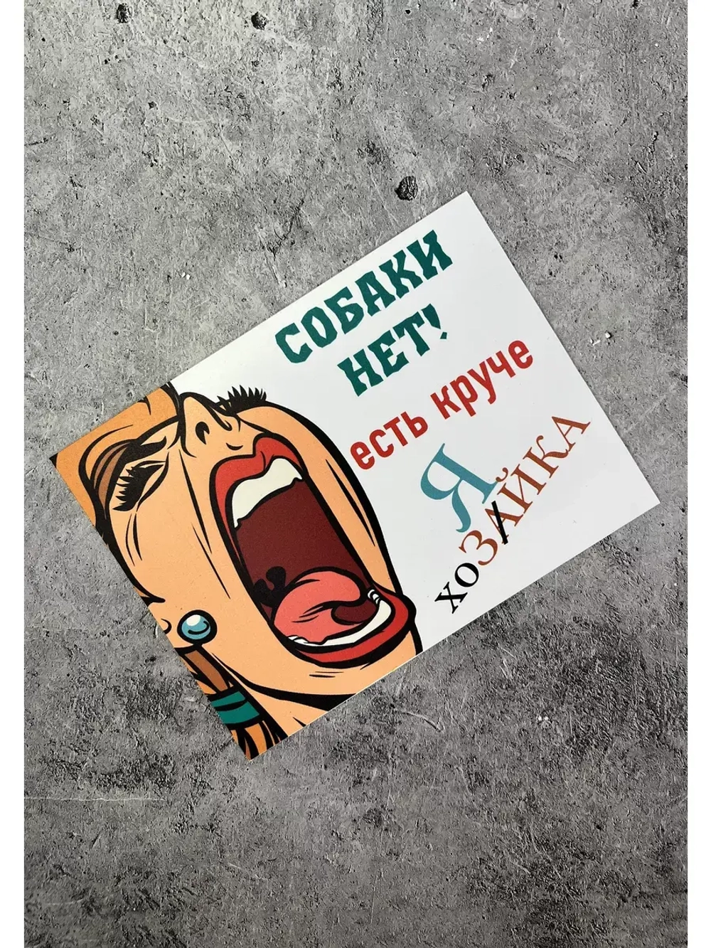 Табличка на дом Осторожно злая собака