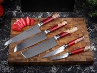 Кухонные ножи TWR-series