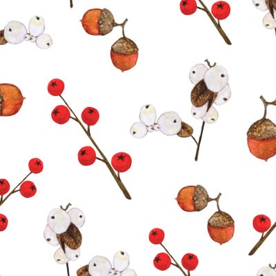 Зимние ягоды