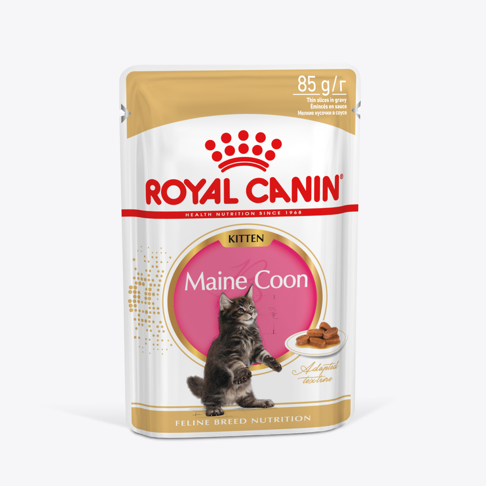 Royal Canin Maine Coon Kitten Мейн Кун Киттен Корм влажный для котят породы Мэйн Кун в возрасте до 15 месяцев соус 85г