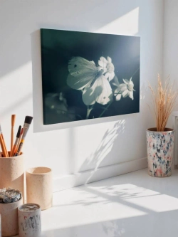 Картина на стену 40 X 50 Бабочка