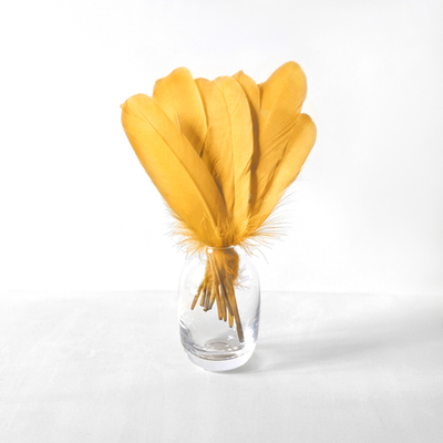 Гусиные перья апельсиновые ровные 20шт.