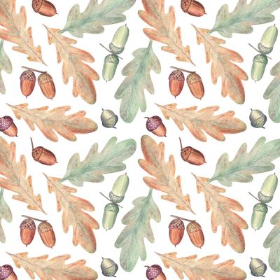 Осенние желуди и листья дуба / Autumn acorns and oak leaves