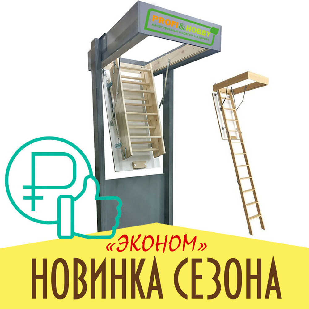 Лестница чердачная с люком 120х70 Profi&Hobby