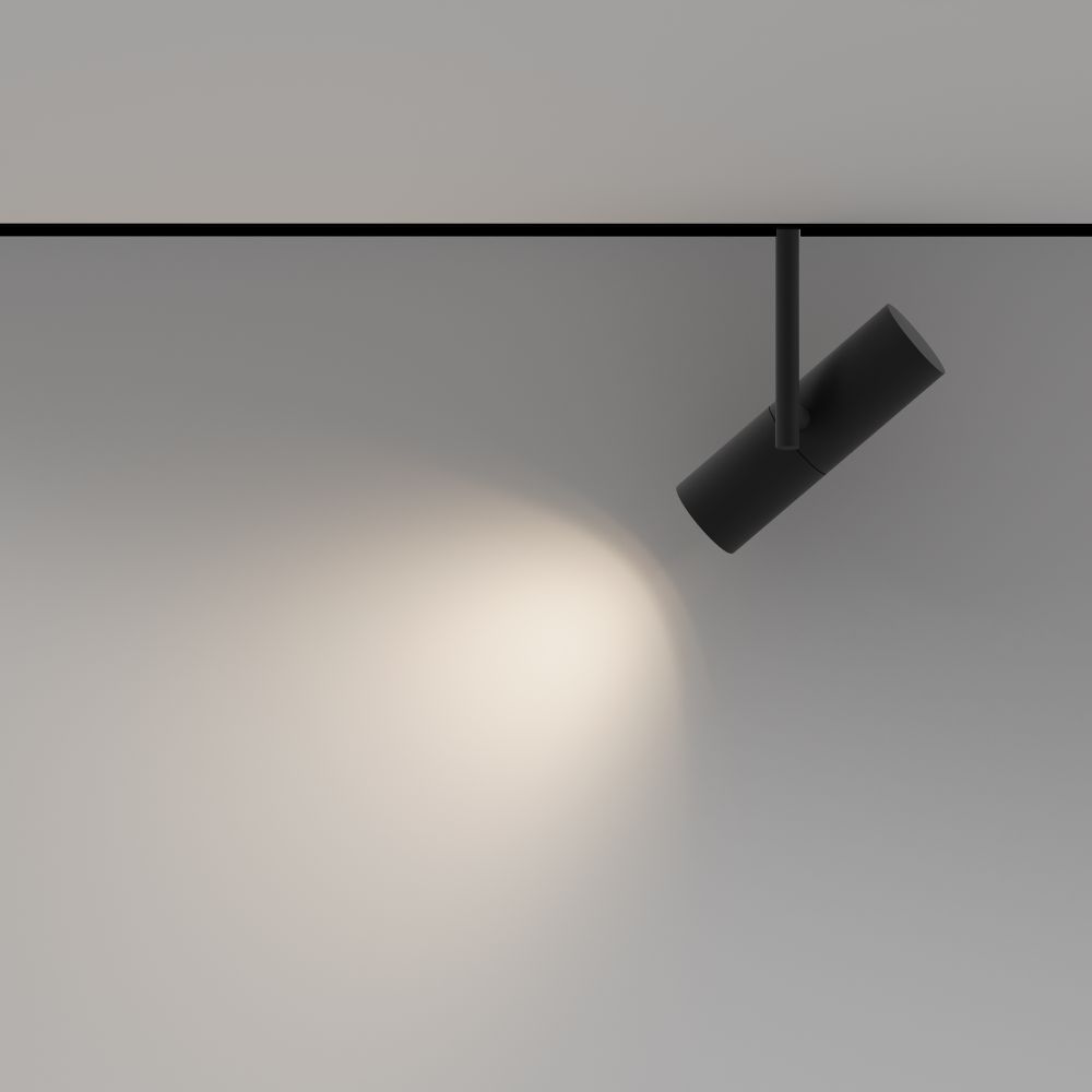 Трековый светильник Maytoni Exility Elti TR005-2-12W4K-B