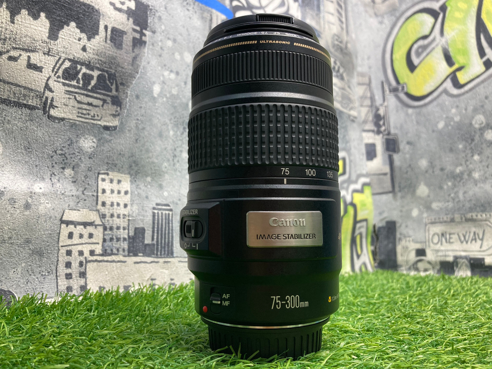 Canon EF 70-300mm 4.0-5.6 IS