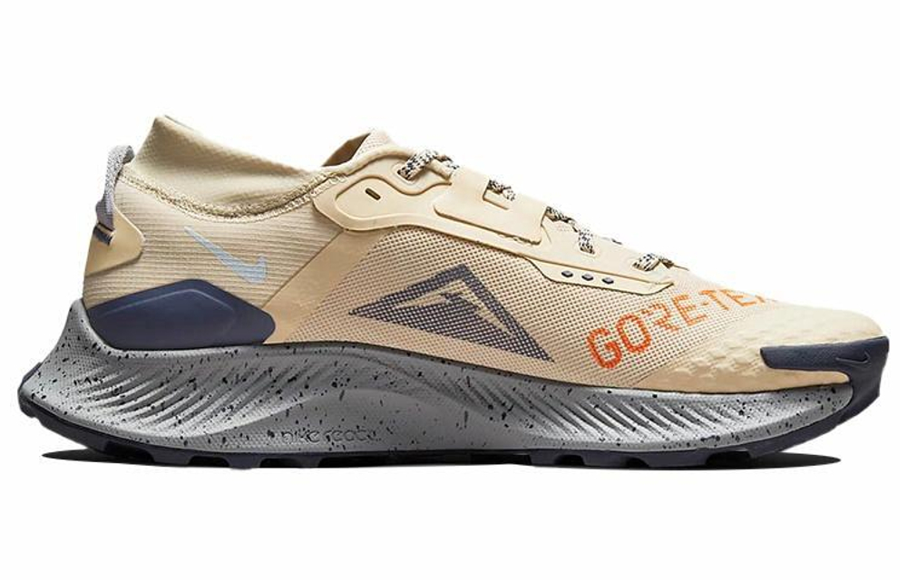 Кроссовки Nike Zoom Pegasus Trail 3 Gtx