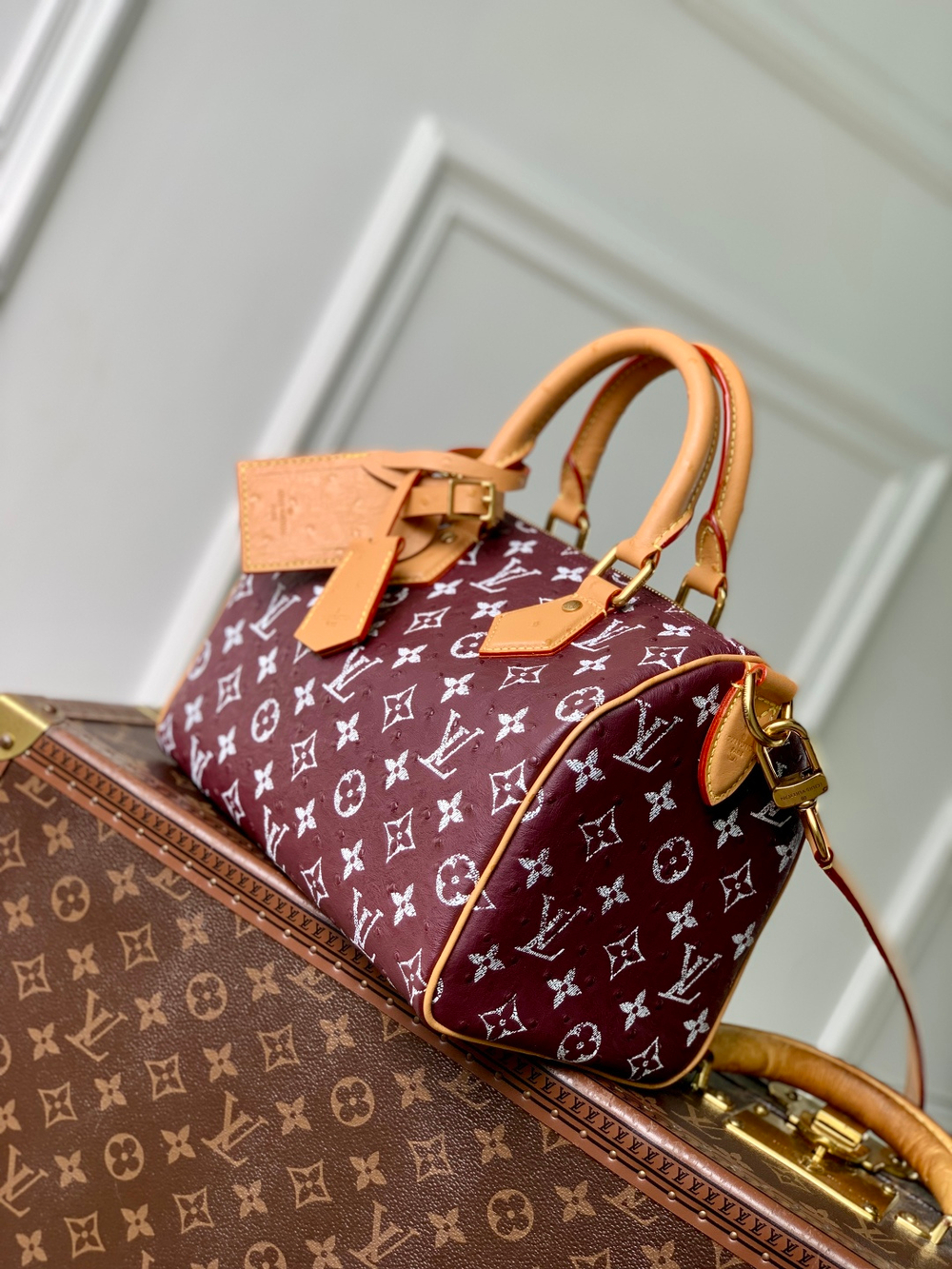Louis Vuitton Speedy P9 Bandouliere 25