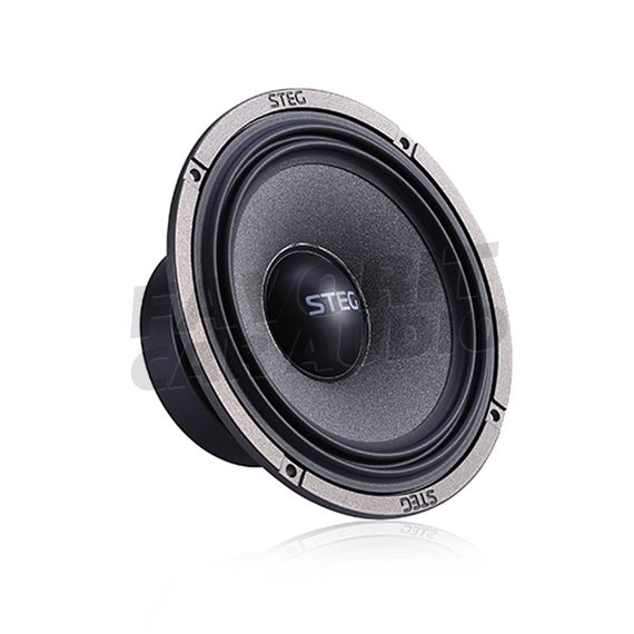 Комп. акустика STEG MT 650CII