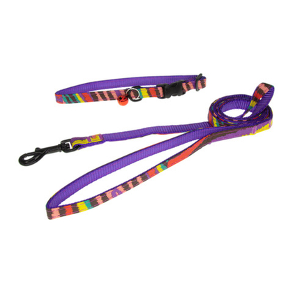 ZOOONE Ошейник нейлоновый для собак 10 мм (30 см) + поводок 1,2 м, серия "Радуга"