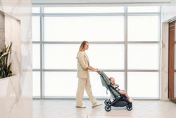 Прогулочная коляска UPPAbaby MINU V2 Gwen