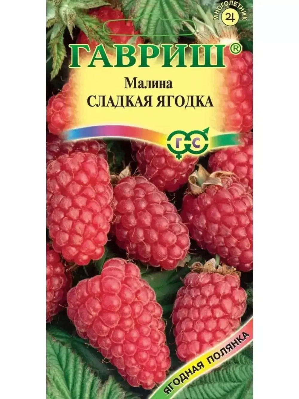 Малина Сладкая ягодка Гавриш