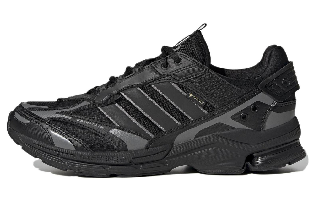 Кроссовки Adidas Spiritain 2000 Gore-Tex