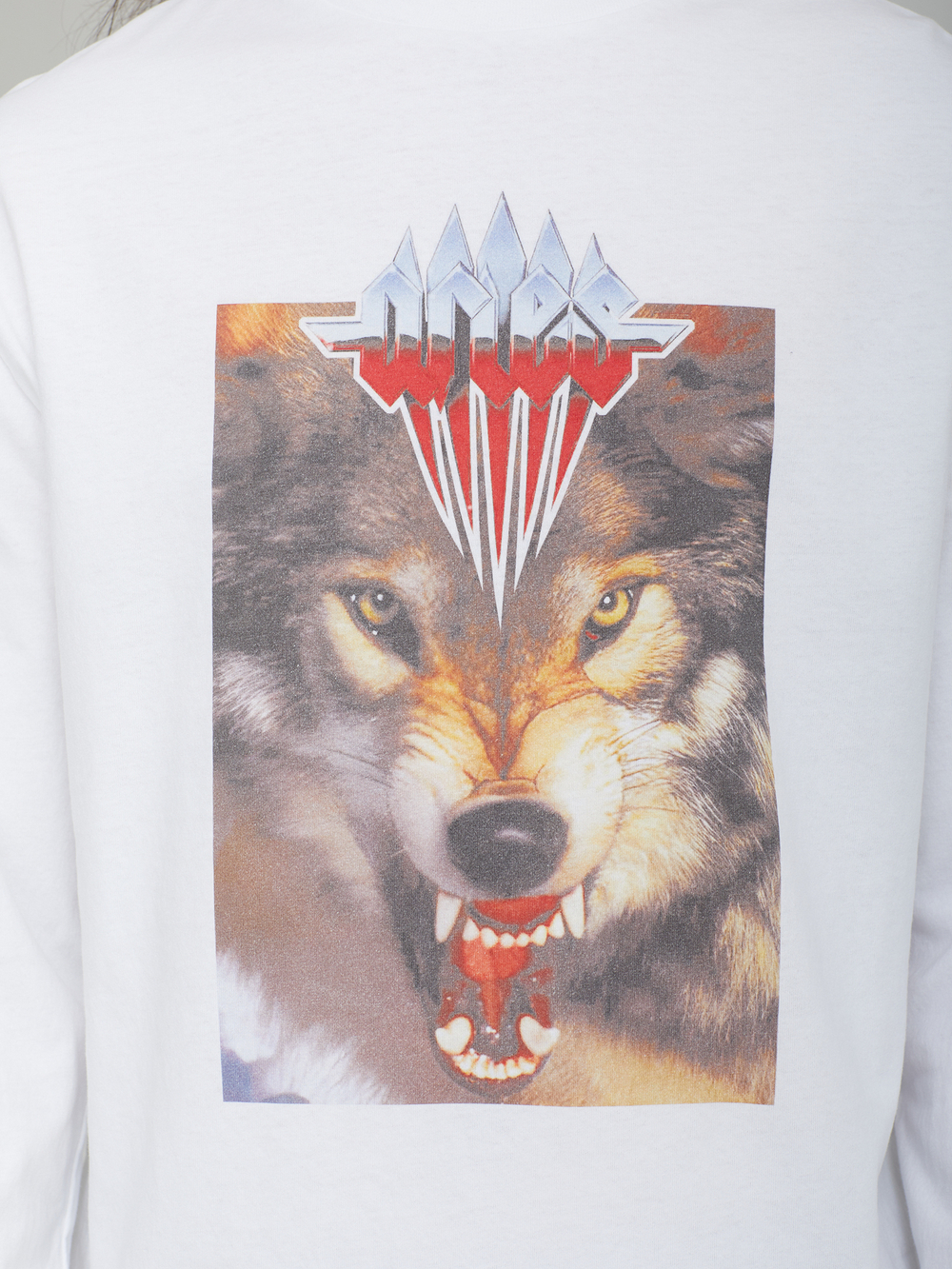 Мужской Лонгслив Wolf