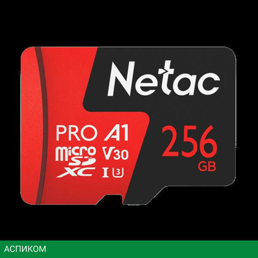 Карта памяти Netac NT02P500PRO-256G-S
