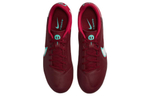Кроссовки Nike Legend 9 Academy Ag